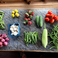 Untitled design (31)